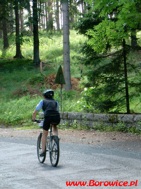 Czasowka_Borowice.pl_2007.06.16_1_12