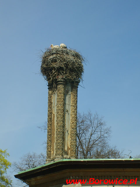 MTBO_Borowice.pl_2007.04.21_136