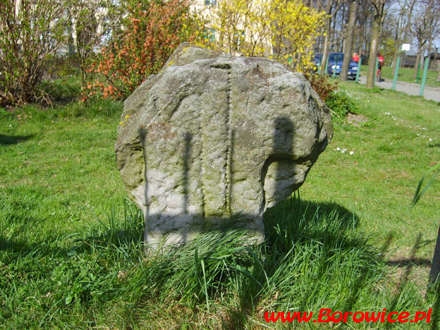 MTBO_Borowice.pl_2007.04.21_140