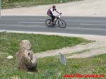 MTBO_Borowice.pl_2007.04.21_169