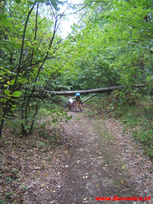 MTBO_Borowice.pl_kamienie_z_datami_2007.08.15_www.Borowice.pl_28