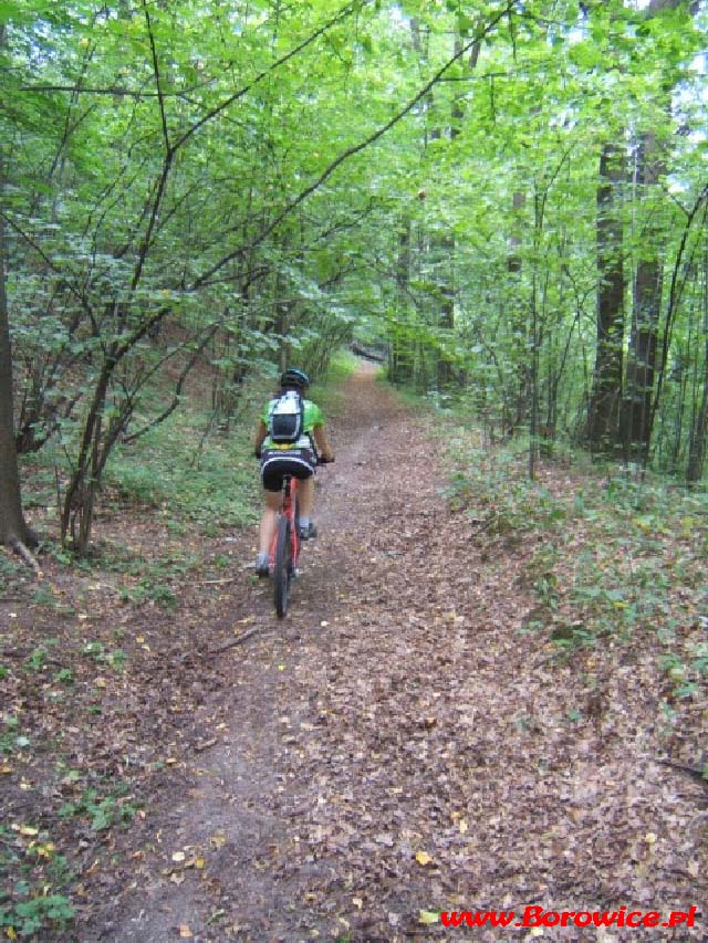 MTBO_Borowice.pl_kamienie_z_datami_2007.08.15_www.Borowice.pl_33