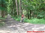 MTB_Maraton_Borowice.pl_Przesieka.pl_2007.07.21_Jesion_Idy_01