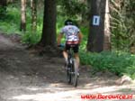 MTB_Maraton_Borowice.pl_Przesieka.pl_2007.07.21_Jesion_Idy_13