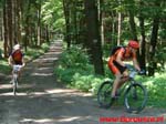 MTB_Maraton_Borowice.pl_Przesieka.pl_2007.07.21_Jesion_Idy_20