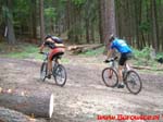 MTB_Maraton_Borowice.pl_Przesieka.pl_2007.07.21_Jesion_Idy_42