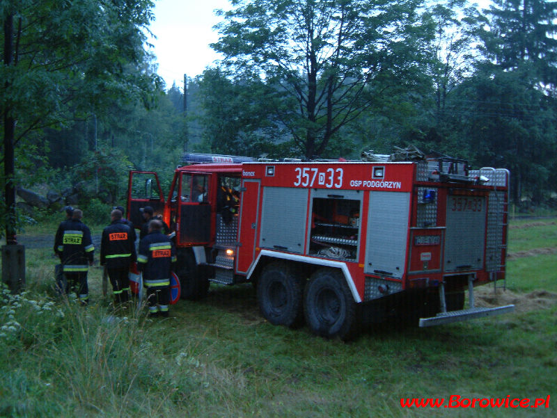 Gitara_i_2008_www.Borowice.pl_003