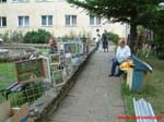 Piknik_ze_sztuka_-_Dziura_w_skale_2008_www.Borowice.pl_72