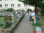 Piknik_ze_sztuka_-_Dziura_w_skale_2008_www.Borowice.pl_72