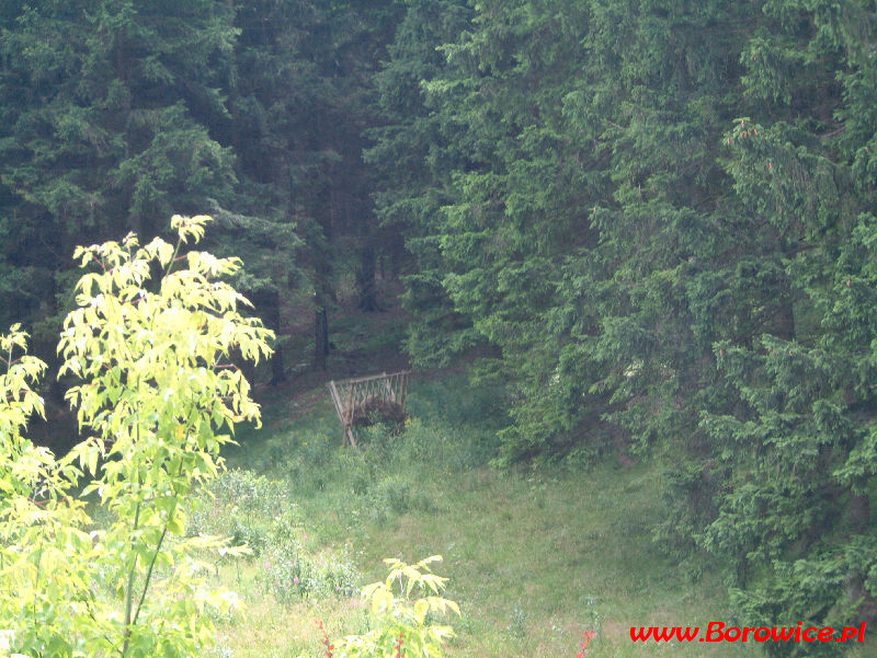 Sztolnie_www.Borowice.pl_04