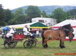 Zjazd_Zabytkowych_Pojazdow_Pozarniczych_2008_www.Borowice.pl_64